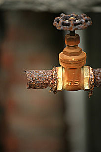 成为跨境电商热销品牌