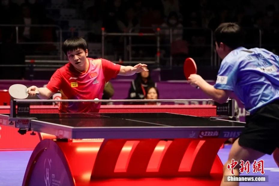 釜山世乒赛男团3-0击败法国夺得十一连冠，巴黎